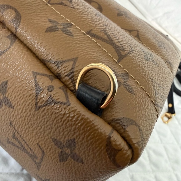 Louis Vuitton Palm Springs Mini Backpack main image 6